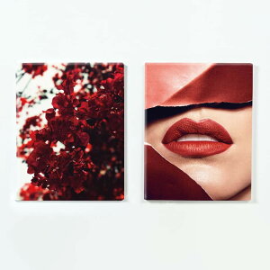 �y2���Z�b�g�z�j�O�C���e���A�̃E�H�[���f�R�Z�b�g �j�O�C���e���A �A�[�o�� 2���Z�b�g(32×41cm-2��) �E�H�[���A�[�g �Ǌ|�� ������� �k�� ���_�� �V�z�j�� �J�X�j�� �����j�� ������ ���� �Q