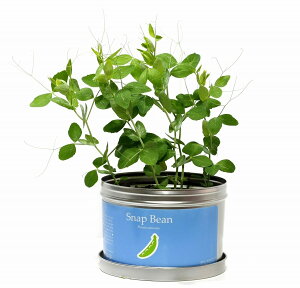 ͔|Zbg gK[fv XibNGhE | K[fjO CeA Mtg  킢 ͔|Lbg