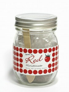 K[fEW[ g}g | K[fjO CeA Mtg  ͔|Lbg 킢