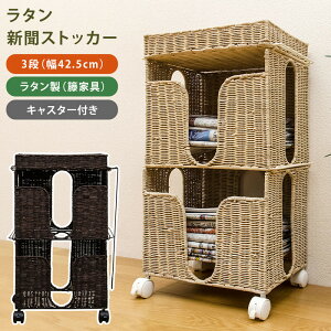 新聞ストッカー 収納用品 収納家具の人気商品 通販 価格比較 価格 Com