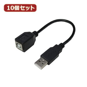 �ϊ����l 10�Z�b�g USB�P�[�u��20 A(�I�X) to B(���X) USBAA/BB20X10