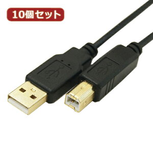 �ϊ����l 10�Z�b�g �ɍ�USB�P�[�u��A�I�X-B�I�X 1.8m USB2A-B/CA180X10
