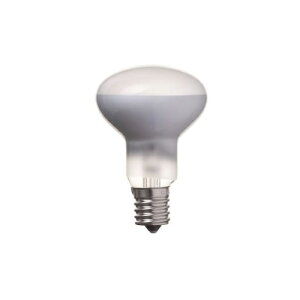 YAZAWA�@�~�j���t�� R50 E17 50W 2�p�b�N�@RF5017502P