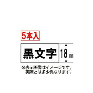 CASIO l[h(NAME LAND) X^_[he[v (e[v//18mmE5{) XR-18WE-5P-E