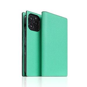 SLG Design Neon Full Grain Leather Diary Case for iPhone 14 Pro Teal �蒠�^ SD24325i14PTL