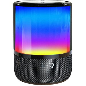 �Z���^�[���� CICONIA LED�i�C�g���C�g�X�s�[�J�[ AFR-F20S
