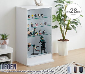RNVP[X 46cm×s28cm RNV{[h KXV[P[X fBXvC ANZT[ tBMAP[X KX Legen i  zr[   RNV