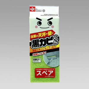 GNJr VJrƂ胏Cp[ XyA C |