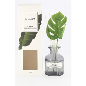  6 CNI[fBt[U[ 100ml u[ANA XeBbN KX{g r Ɏqr A}  킢 Mtg v[g