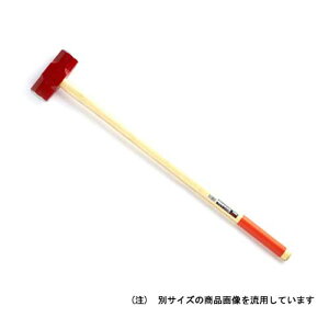 n}[ dʁF2.7kg ~߃Obv ؕ SHAy؁Azł̑łAAnc H  El