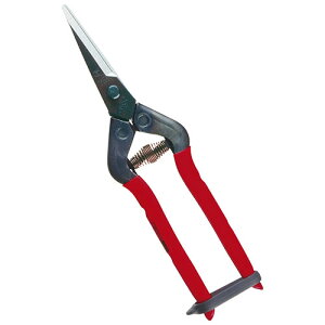 ��؁E�E����