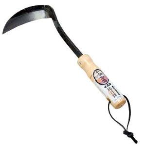 g |tߎ  K[fjO | ̂ _ _ G 