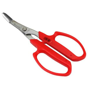 g    | K[fjO _ _ nT~