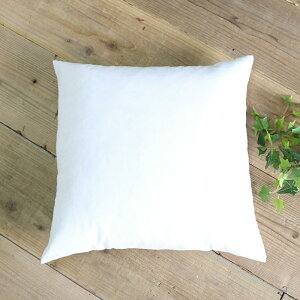 45x45cm �k�[�h�N�b�V����