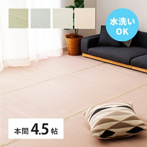  J[ybg 􂦂 { 4.5 4.5 PP O rj[ ~  ̕ی  O[ u[ O[ sN  g a_ a a 킢 J[O EHb