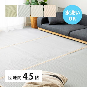  J[ybg 􂦂 cn 4.5 4.5 PP O rj[ ~  ̕ی  O[ u[ O[ sN  g a_ a a 킢 J[O EH