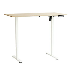 電動昇降デスク スタンディングデスク 高さ調節 高さメモリー機 コンセント付 USBポート付き 能 電動デスク パソコンデスク 幅120cm ナチュラルホワイト 無段階調整 在宅ワーク リモート勤務