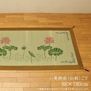 Y  @̉ 88×180cm ܐD OiOj{ 