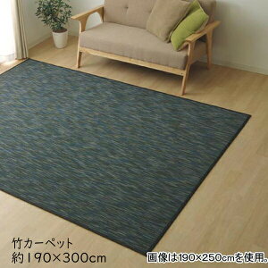 |J[ybg O}bg |O 190×300cm ` J[ybg  O n Vv ou[ | DXtH[X