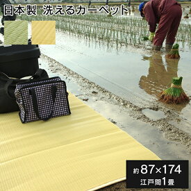ラグ 洗える 日本製 国産 アウトドア レジャー アウトドア 和室 シンプル グリーン 江戸間1畳(約87×174cm)
