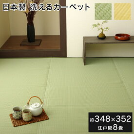 ラグ 洗える 日本製 国産 アウトドア レジャー アウトドア 和室 シンプル グリーン 江戸間8畳(約348×352cm)