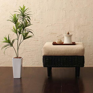 Ibg} Xc[ AoJV[Y J} Ibg}`FA u ֎q CX \t@ `FA `FA[ ][g u AWAƋ l炵 AWA o  l炵  