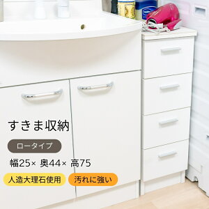 �y�労�Ӎ� ���Ԓ��|�C���g10�{�z ���ʏ����[ �L�b�`�����[ �嗝�Β��V�� ���[�^�C�v ��25cm �ϔM�V�� �ϐ��V�� ���Ԏ��[ �����Ԋ��p ���ʑ䉡 ����@�� �����h���[���[ �X����