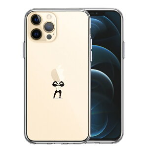 Pi iPhone12 Pro ʃ\tg wʃn[h nCubh NA P[X p_ dʋ ܂ 