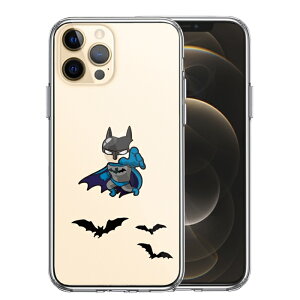 Pi iPhone12 Pro ʃ\tg wʃn[h nCubh NA P[X fpfB 啒j