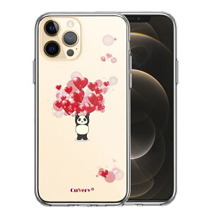 Pi iPhone12 Pro ʃ\tg wʃn[h nCubh NA P[X p_ n[g dʋ  2