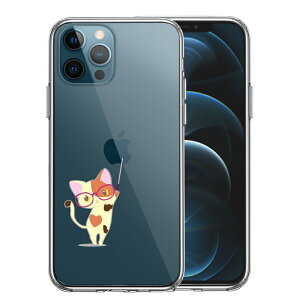 Pi iPhone12 Pro ʃ\tg wʃn[h nCubh NA P[X WPbg OєL Kl