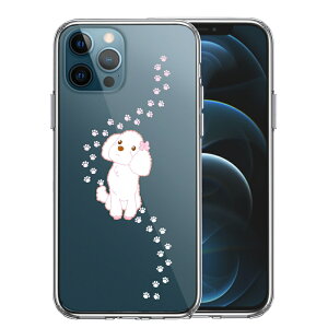 �P�i iPhone12 Pro ���ʃ\�t�g �w�ʃn�[�h �n�C�u���b�h �N���A �P�[�X �v�[�h�� ����