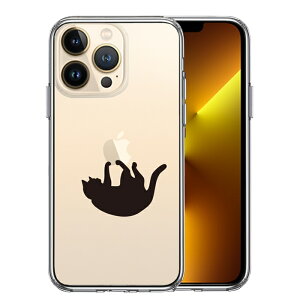 Pi iPhone13 Pro ʃ\tg wʃn[h nCubh NA P[X Ԃ炳lR