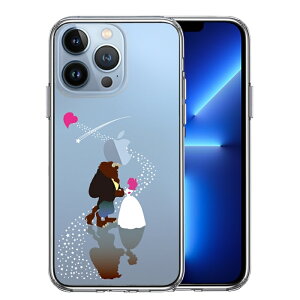 Pi iPhone13 Pro ʃ\tg wʃn[h nCubh NA P[X Ɩb   j !