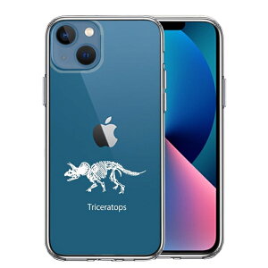 Pi iPhone13mini ʃ\tg wʃn[h nCubh NA P[X gPgvX zCg