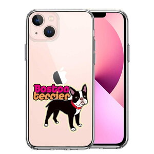 Pi iPhone13mini ʃ\tg wʃn[h nCubh NA P[X {XgeA 3