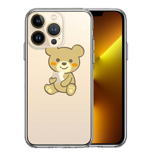 Pi iPhone13 Pro ʃ\tg wʃn[h nCubh NA P[X  F ʂ  