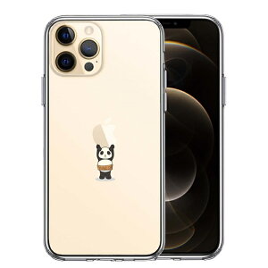 Pi iPhone12 Pro ʃ\tg wʃn[h nCubh NA P[X p_ Abv dʋ 