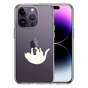 Pi iPhone14 Pro ʃ\tg wʃn[h nCubh NA P[X Ԃ炳lR zCg