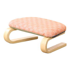 EGɗD ֎q  ɑ΍ ֎q  a  CX  a֎q hV̓  RpNg y v[g