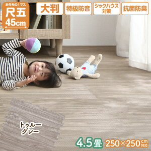ジョイントマット 45cm 大判 厚手 4.5畳用 10mm厚 265×265cm 木目調 ジョイント マット 木目 フロアマット プレイマット ベビーマット 防音 防水 抗菌 防臭 床暖房対応 かわいい おしゃれ 赤ちゃん