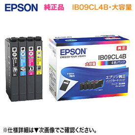 【ネコポス便】EPSON／エプソン 純正インクカートリッジ IB09CL4B （目印：電卓） 大容量 4色パック 純正品 新品 （ビジネスプリンター PX-M730F, PX-S730 対応） ※代引決済不可※