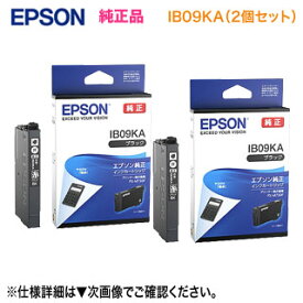 【ネコポス便】【純正品 2個セット】 EPSON／エプソン 純正インクカートリッジ IB09KA （目印：電卓） ブラック 純正品 新品 （ビジネスプリンター PX-M730F, PX-S730 対応） ※代引決済不可※
