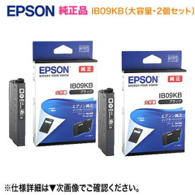 【ネコポス便】【純正品 2個セット】 EPSON／エプソン 純正インクカートリッジ IB09KB （目印：電卓） 大容量 ブラック 純正品 新品 （ビジネスプリンター PX-M730F, PX-S730 対応） ※代引決済不可※