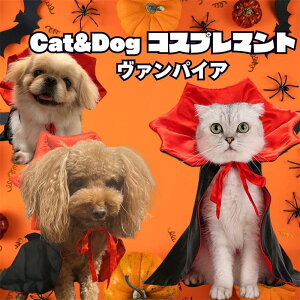 nEB ybgRXv }g zS  L RX`[ hLA opCA ϑ ybgEFA ʐ^ LOBe