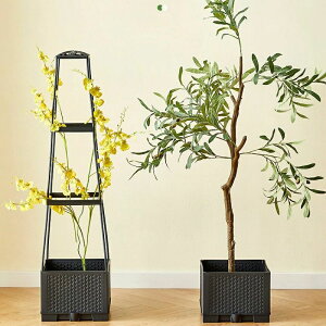 oCv^[{bNX gXt Ȑ オK[fxbh Ap  g}gP[W  O oRj[ peBI[h