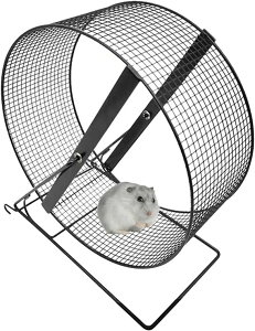 񂵎 TCgzC[ p nX^[ 񂵎 É  咼a [Cg zC[  TCgzC[ ^ ybggbh~ XgX X|[c jO 