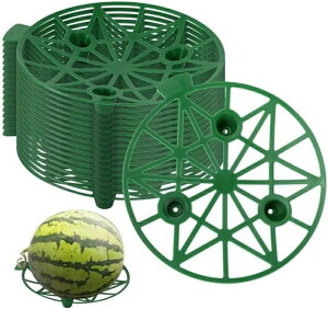 XCJ}bg }bg C`ST|[g 10 ͔| XCJT|[g ʕ͔|gC a19.5cm ϋv ی ėp\ ςݏdˉ\ J̓ x[X t[cT