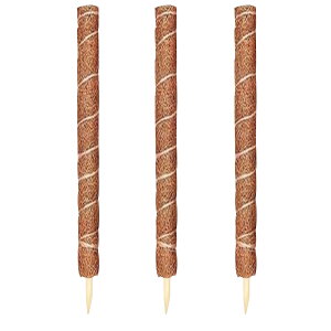 RRXeBbN VRRRibc@ێx Xe |gX wfΉ \ ϗtAx ʋC ێQ st̐ aQ\h RȃfUC ǍNT|[