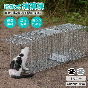 ߊl L̕ی ߊlP[W ɗDߊl ǔLی TNR qLߊl ƒ؉ Qb΍ AiO} ACO} ^kLߊl ܂肽݃RpNg Sߊl XgXt